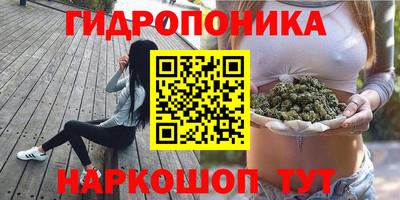 стаф Партизанск