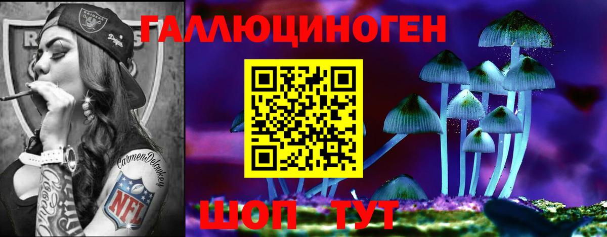 Псилоцибиновые грибы прущие грибы  Вход с VPN  Ногинск 